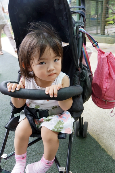 DSC09047a1200
