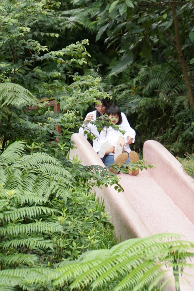 DSC09058a1200