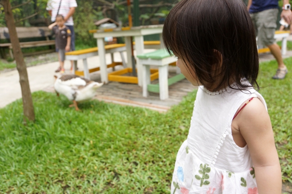 DSC09118a1200