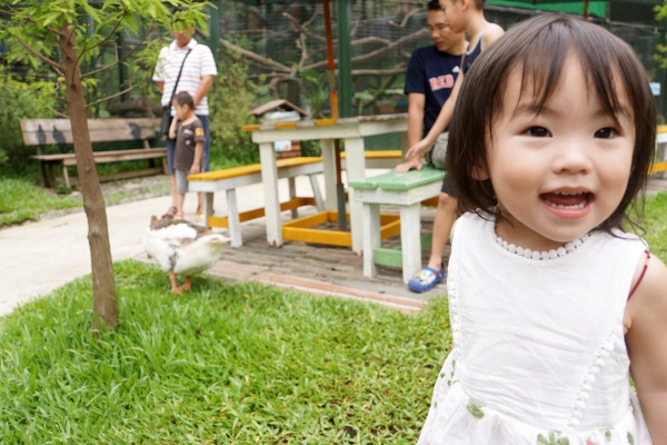 DSC09120a1200