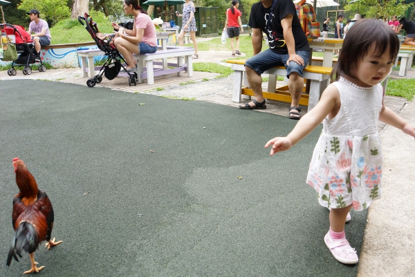 DSC09128a1200