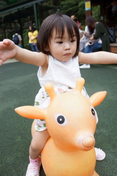 DSC09129a1200