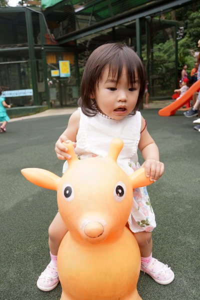DSC09131a1200