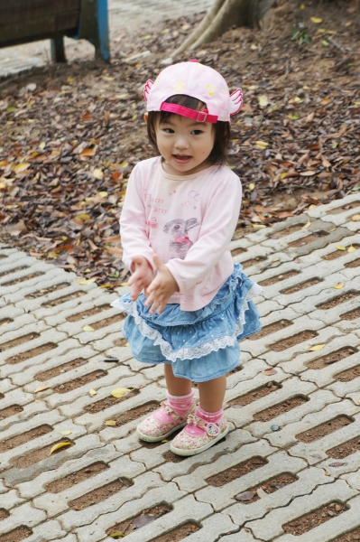 DSC09145a1200