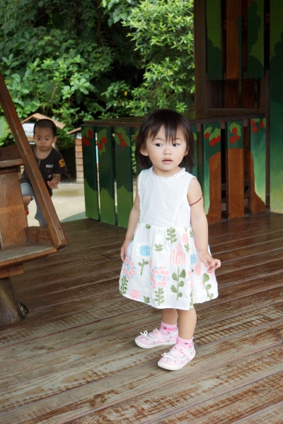 DSC09199a1200