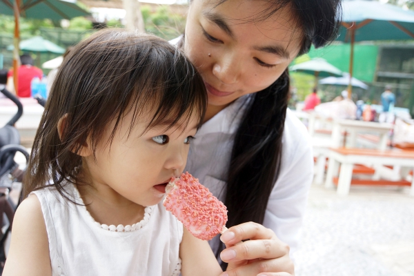 DSC09211a1200