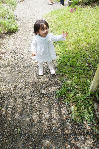 DSC09319a1200