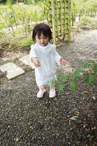 DSC09323a1200