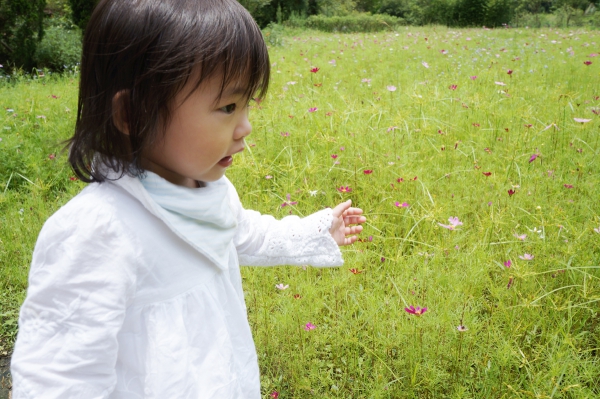 DSC09337a1200