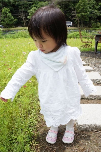 DSC09342a1200