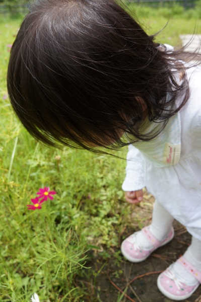 DSC09345a1200