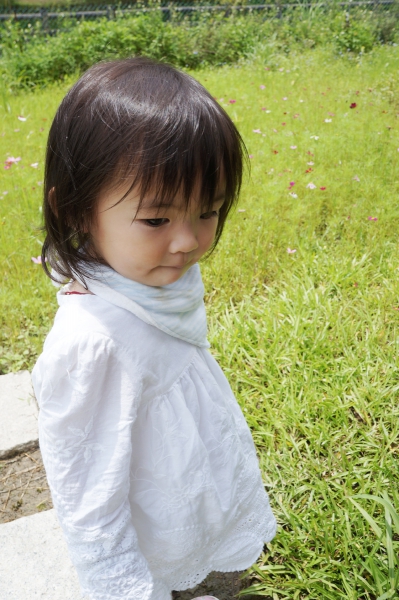 DSC09471a1200