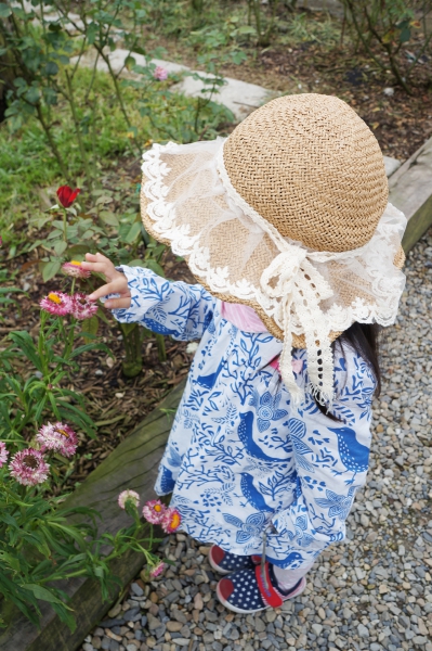 DSC09515a1200