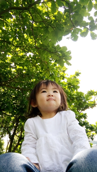 DSC_0542a1200