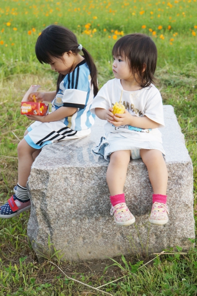 DSC07979a1200