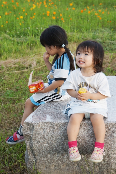 DSC07984a1200