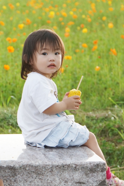 DSC07995a1200