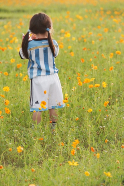 DSC08178a1200