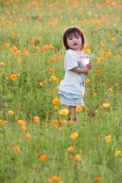 DSC08191a1200