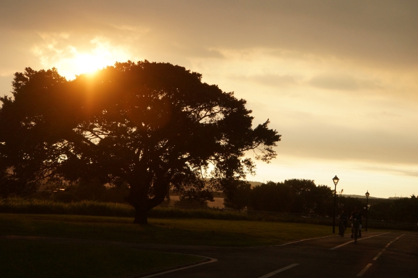 DSC08277a1200