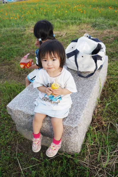 DSC08759a1200