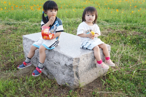 DSC08768a1200
