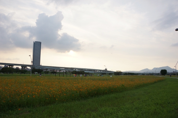 DSC09708a1200