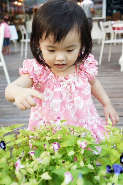 DSC02026a1200