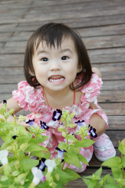 DSC02039a1200