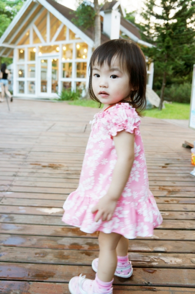 DSC02078a1200