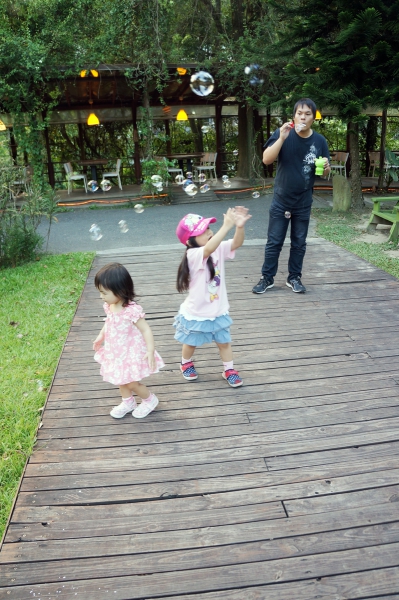 DSC02165a1200