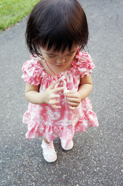 DSC02188a1200
