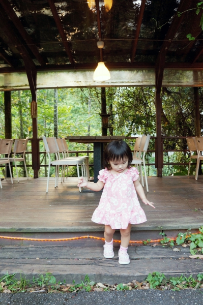 DSC02204a1200