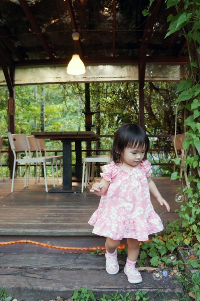DSC02219a1200