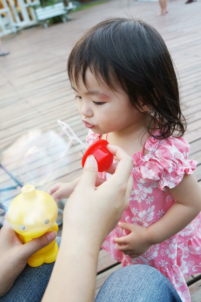 DSC02278a1200