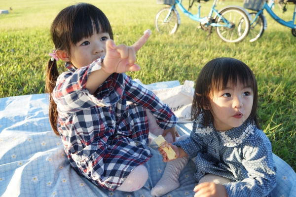 DSC02412a1200