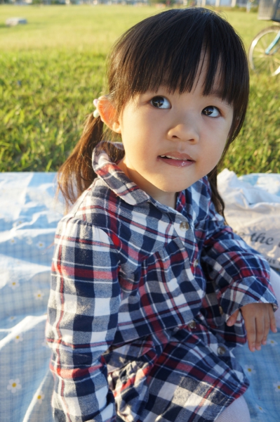 DSC02439a1200