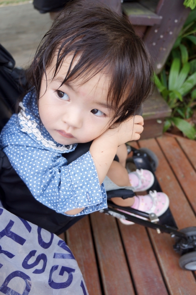 DSC03010a1200