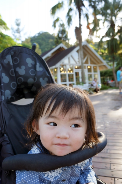 DSC03241a1200