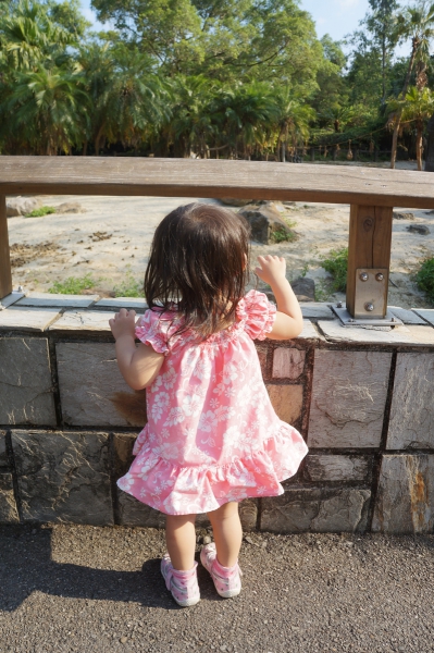 dsc03455a1200