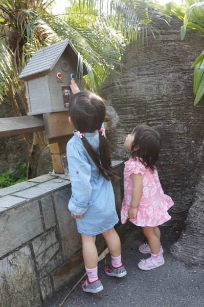 dsc03466a1200