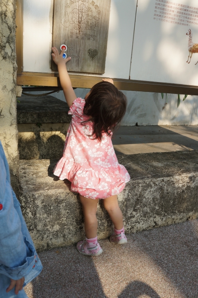 dsc03472a1200