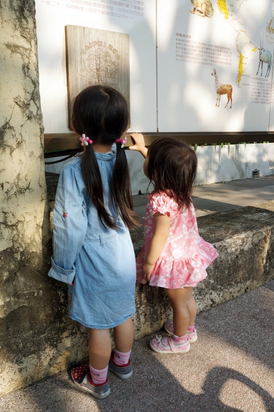 dsc03476a1200