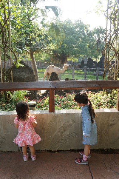 dsc03478a1200