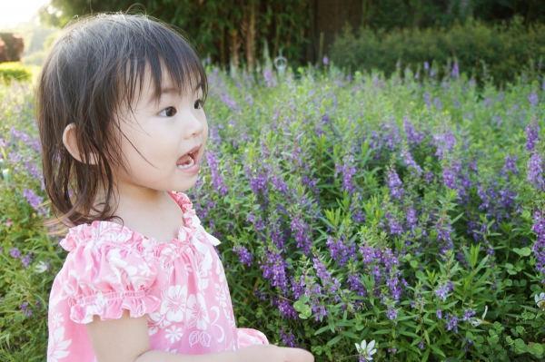 dsc03636a1200