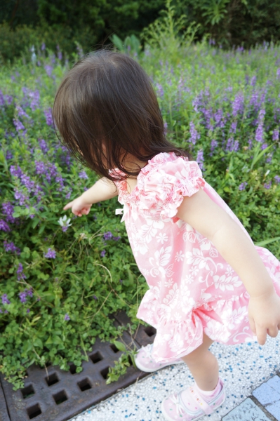 dsc03638a1200