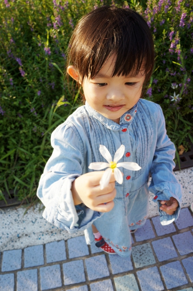dsc03658a1200