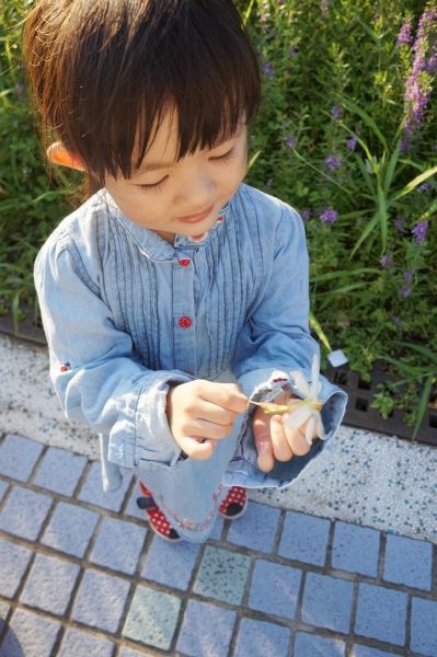 dsc03662a1200