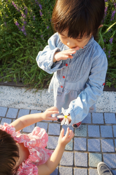 dsc03663a1200