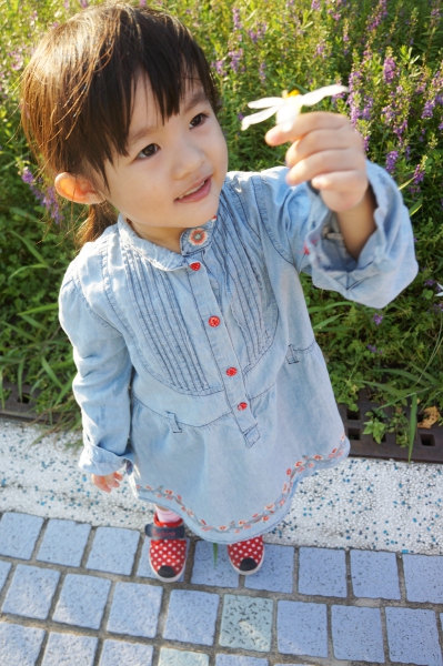 dsc03665a1200